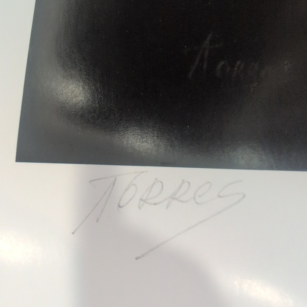 Sonia Torres Arabian Right Horse Artist's Print Torres Signed Numbered Limit Ed‎ - Picture 6 of 7